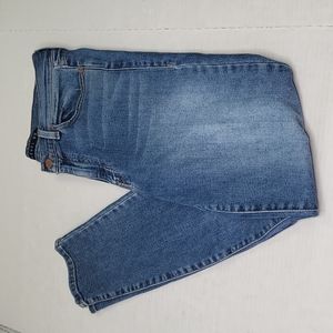 Level 99 high rise skinny crop jeans